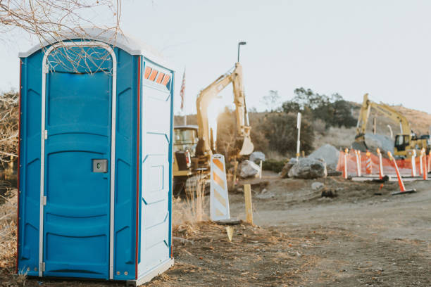 Portable Toilet Options We Offer in St Charles, MI